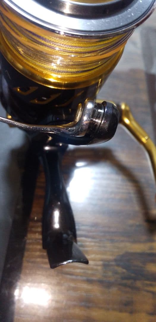リール xMSJSSx