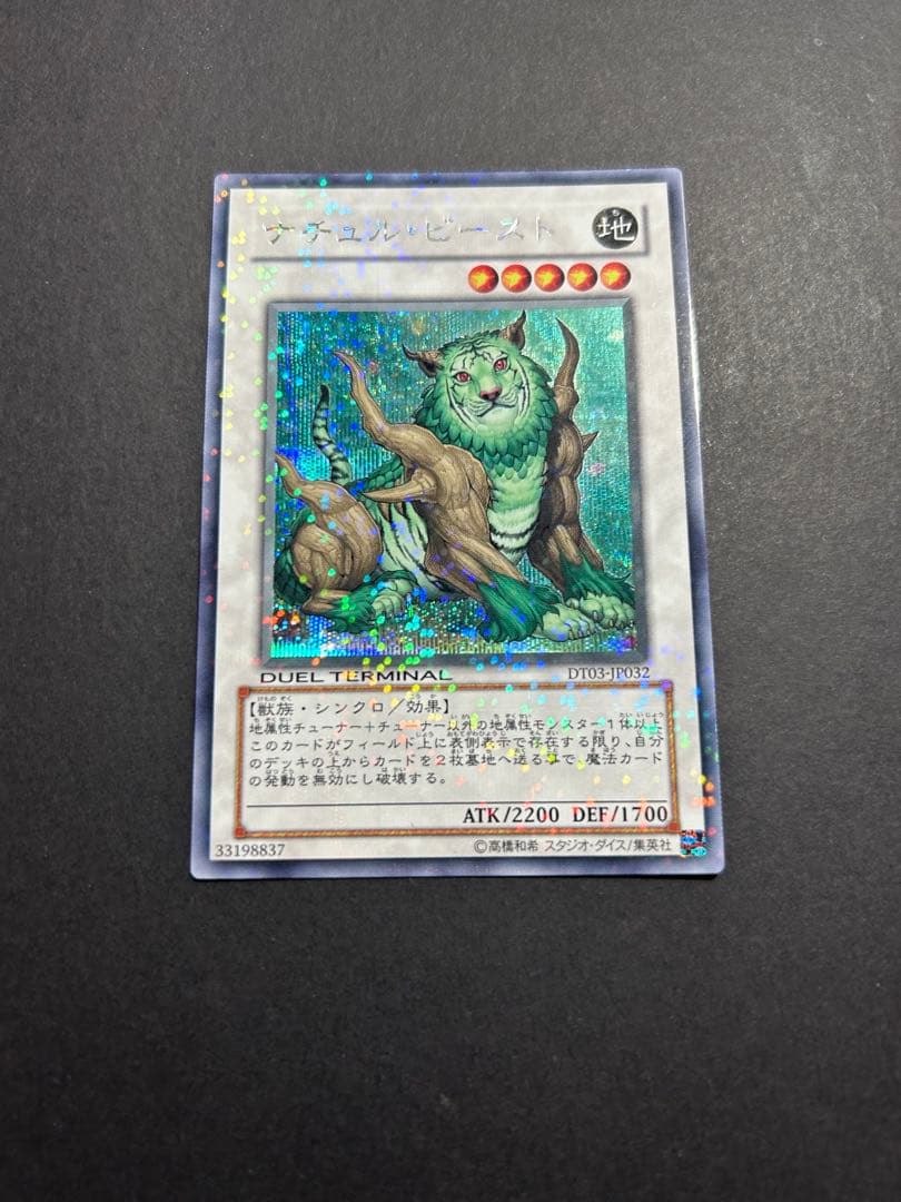 遊戯王 ナチュルビースト DTシークレット