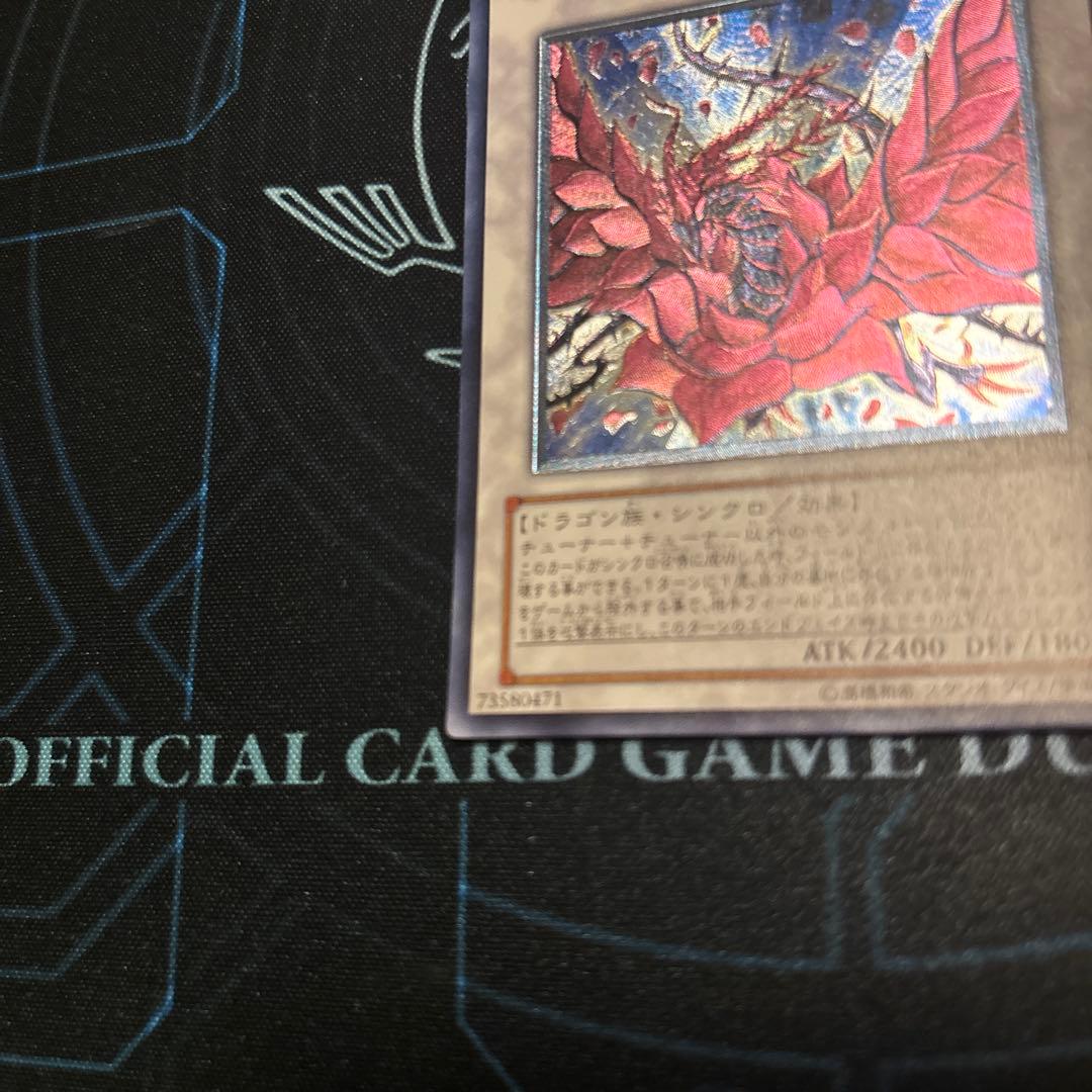 ブラックローズドラゴン　レリーフ　csoc 遊戯王