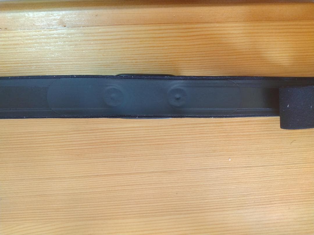 POLAR H10 心拍センサー 中古