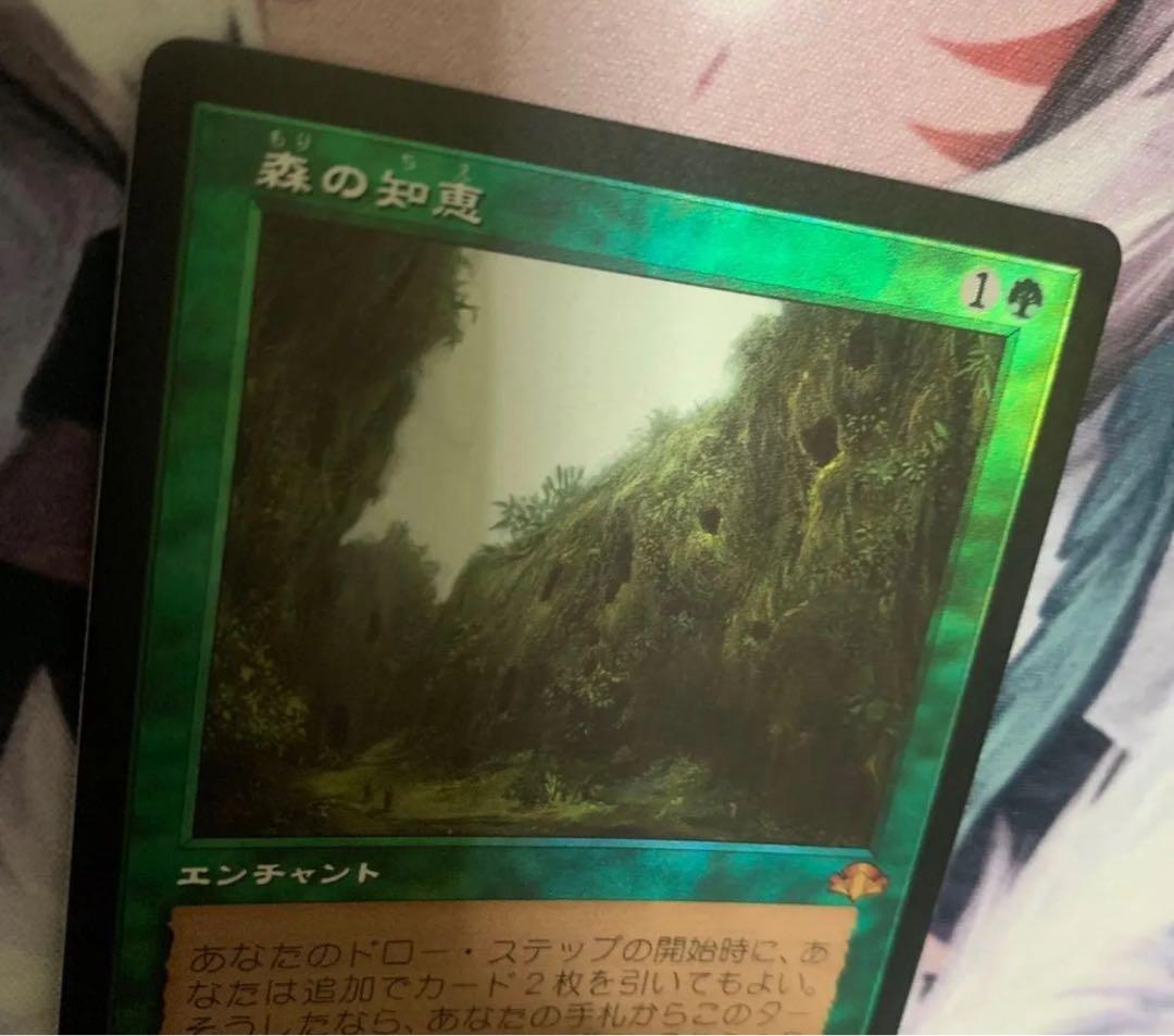 MTG 旧枠 Foil 《森の知恵/Sylvan Library》