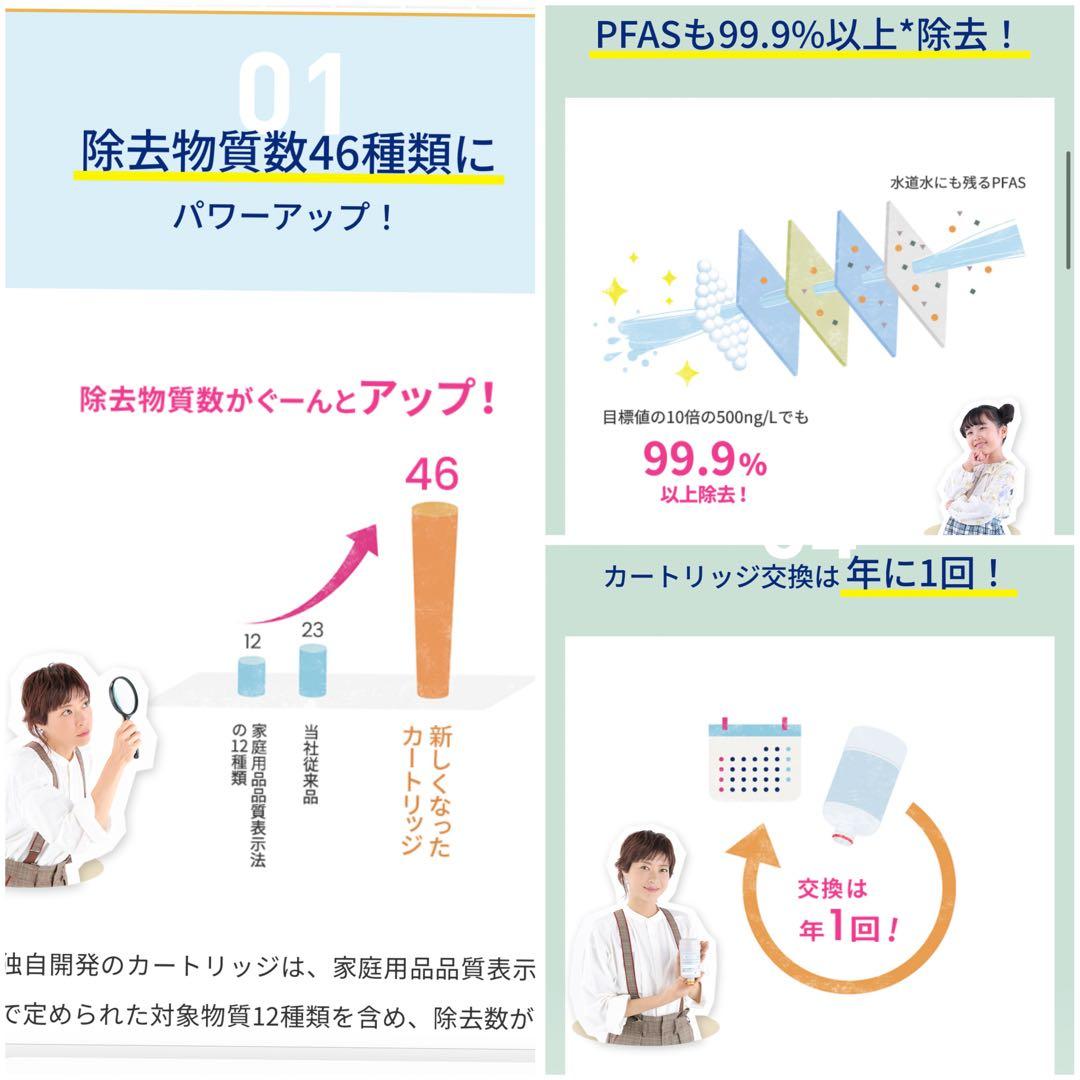 エブリィフレシャス　浄水カートリッジ　ハイグレードタイプ　12ヶ月×2本