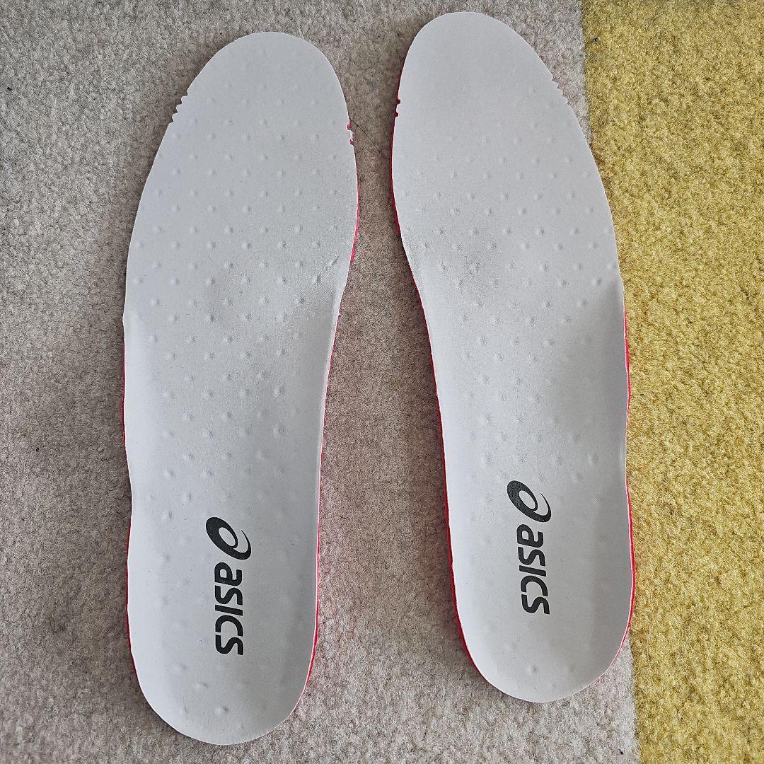 アシックス　DS LIGHT X-FLY PRO2 　28センチ