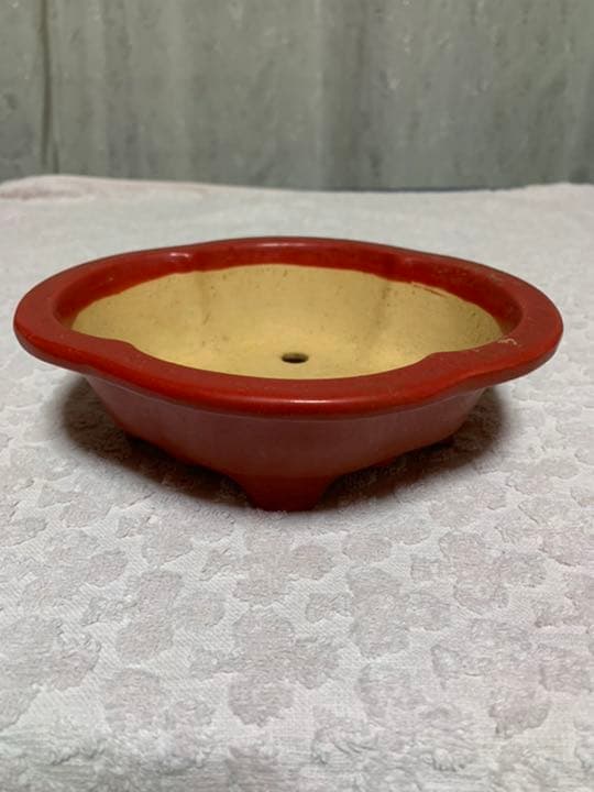 盆栽鉢　昭山