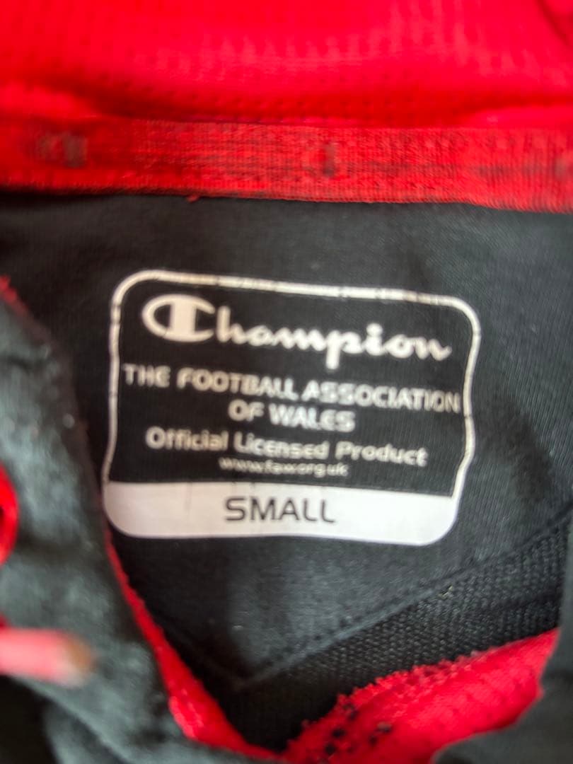 Champion ウェールズ代表 フード付きパーカー　レア