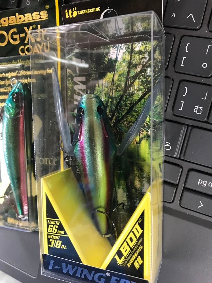 メガバス 限定 ヤマトタマムシ 2点セット ドッグX アイウィングフライ