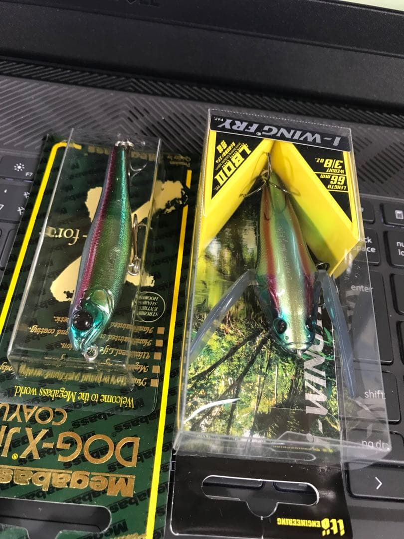 メガバス 限定 ヤマトタマムシ 2点セット ドッグX アイウィングフライ