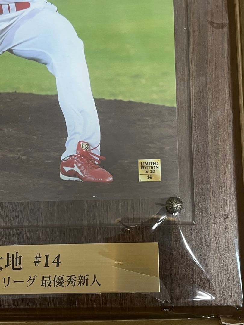 球団公認　広島カープ　大瀬良大地　新人王記念　直筆サイン　プラークポスター