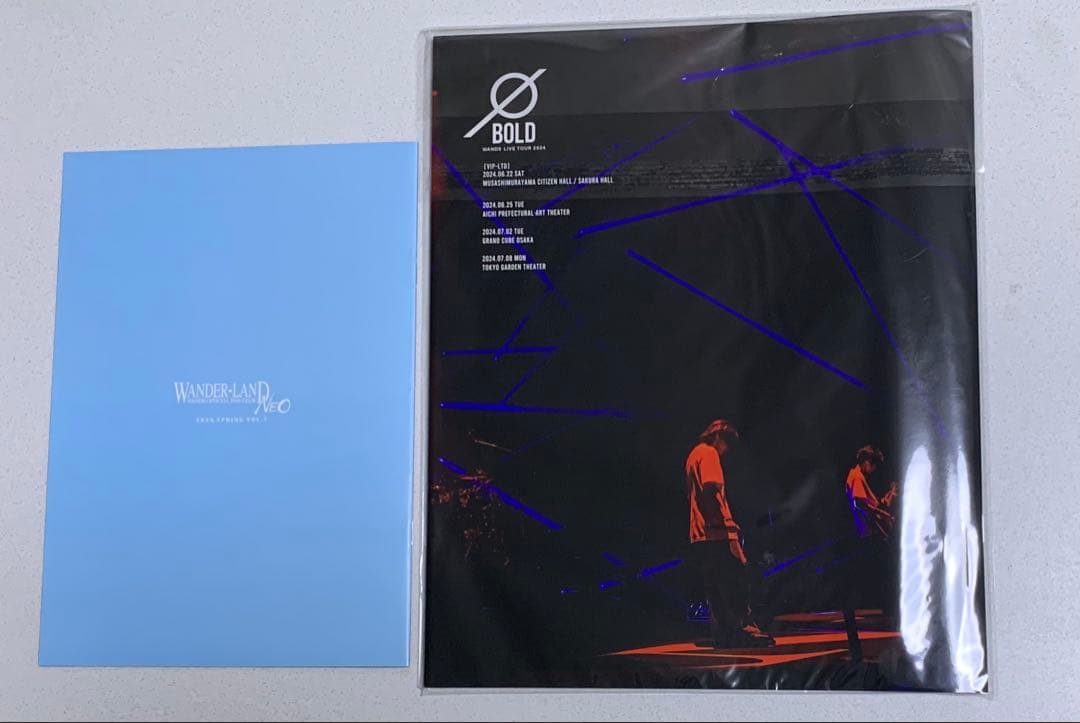 WANDS BOLD LIVE PHOTO BOOK ファンクラブ会報誌