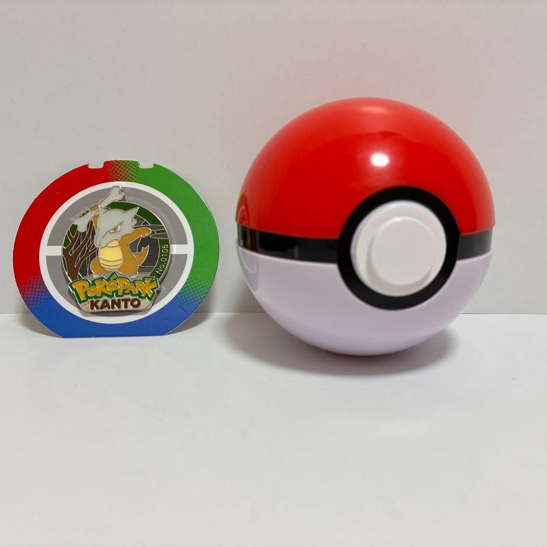 m*i様 ポケモン　ピンズ　モンスターボール　ポケパーク　ファイヤー　コンパン