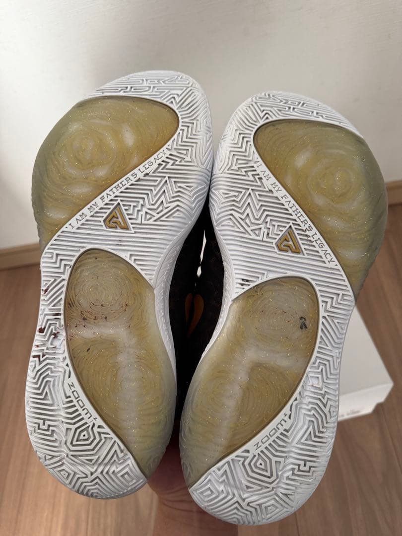 シューズ(男性用) Nike Zoom Freak 1 Coming to America