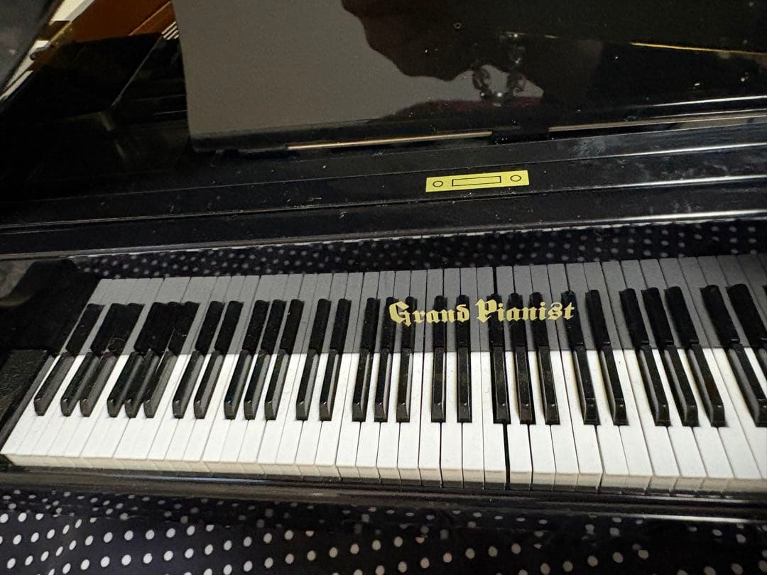 SEGA TOYS Grand Pianist グランドピアニスト88鍵 黒色