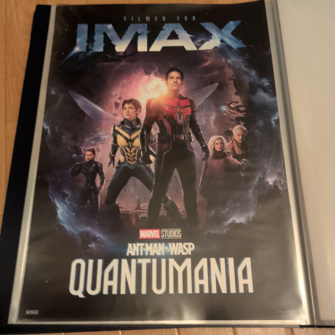 IMAX 4DX ScreenX　特典　A3 ポスター　まとめ売り