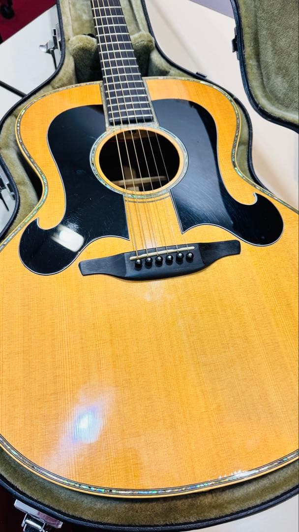 VG-08 全単板　廃盤　ハードケース付き（水曜日まで限定値下げ）