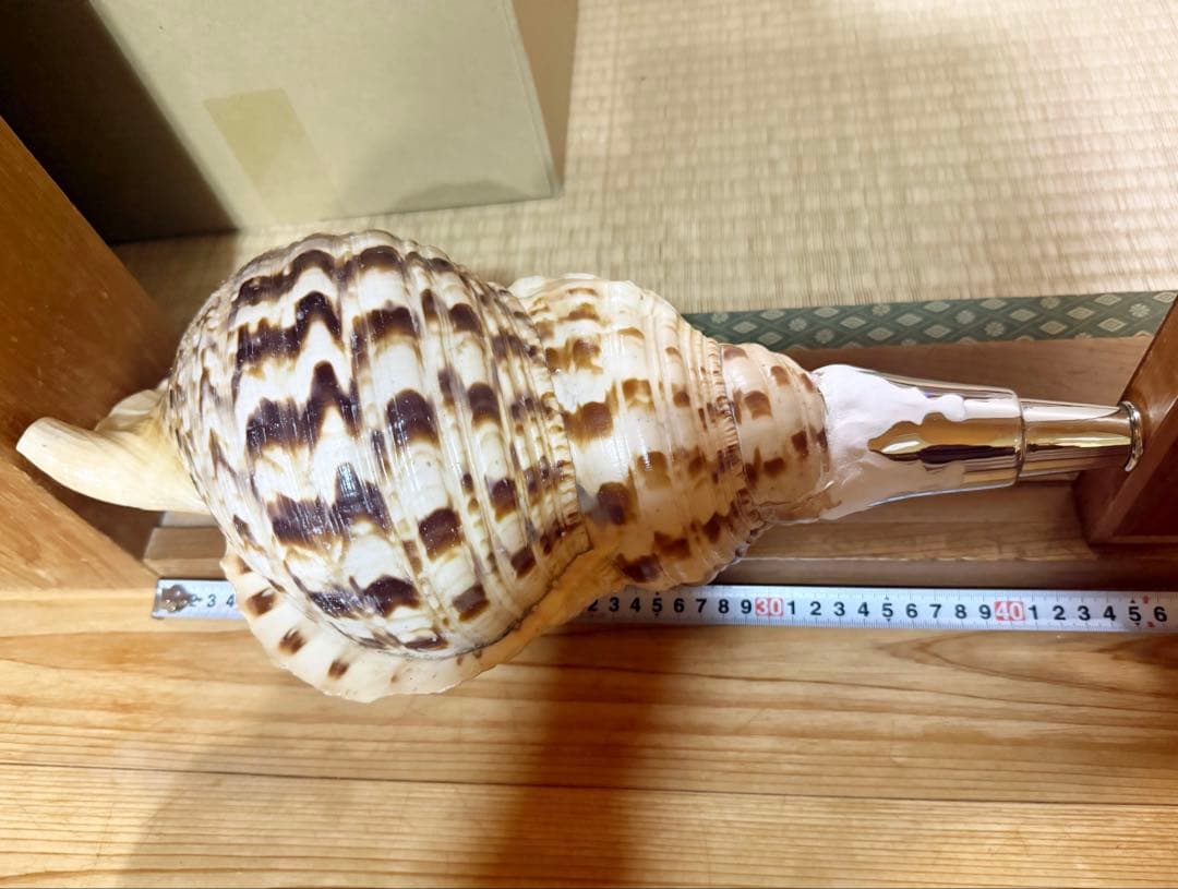 希少な特大肉厚修験道法螺貝　42㎝ 山伏　密教　魔除け　熊よけ❣️ホラガイ　ほら貝