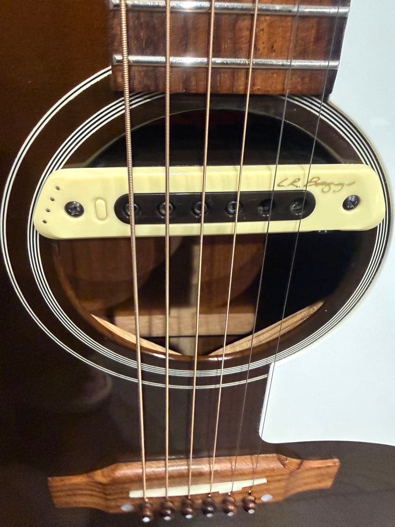custom shop製Gibson J-45 ブラウントップ