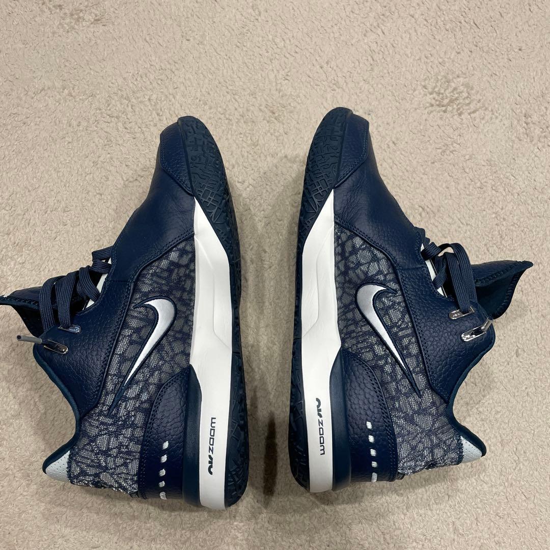 Nike レブロン NXXT GEN AMPD EP 28.0