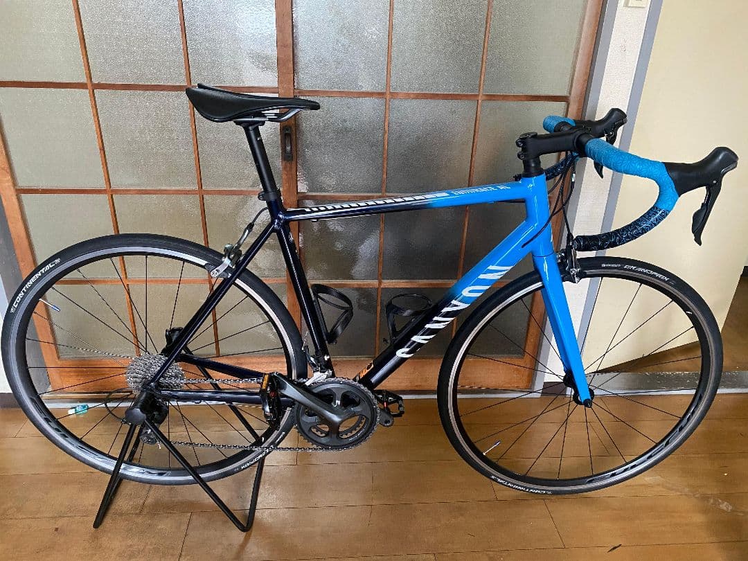 s*3様 CANYON ENDURACE 6 (2020)