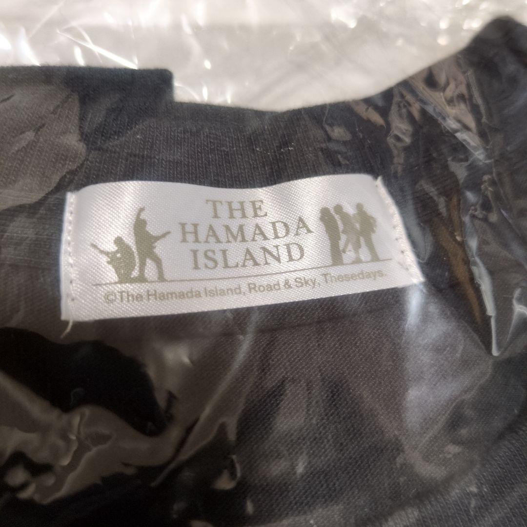 【新品、未開封】浜田省吾 浜田島 プロミストランド ラグランTシャツ（長袖）