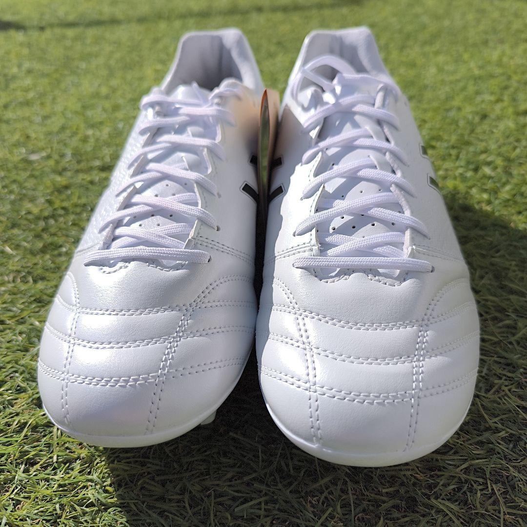 シューズ asics DS LIGHT ADVANCE WIDE 25.5cm