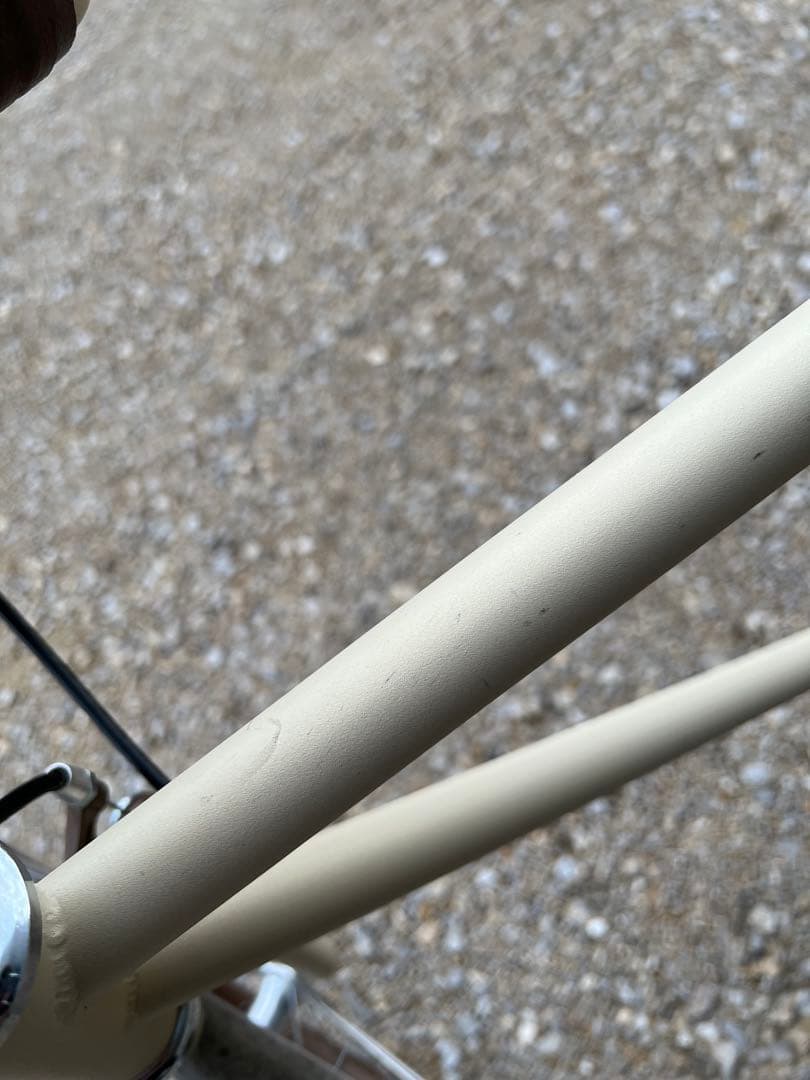 コッチペダーレ自転車