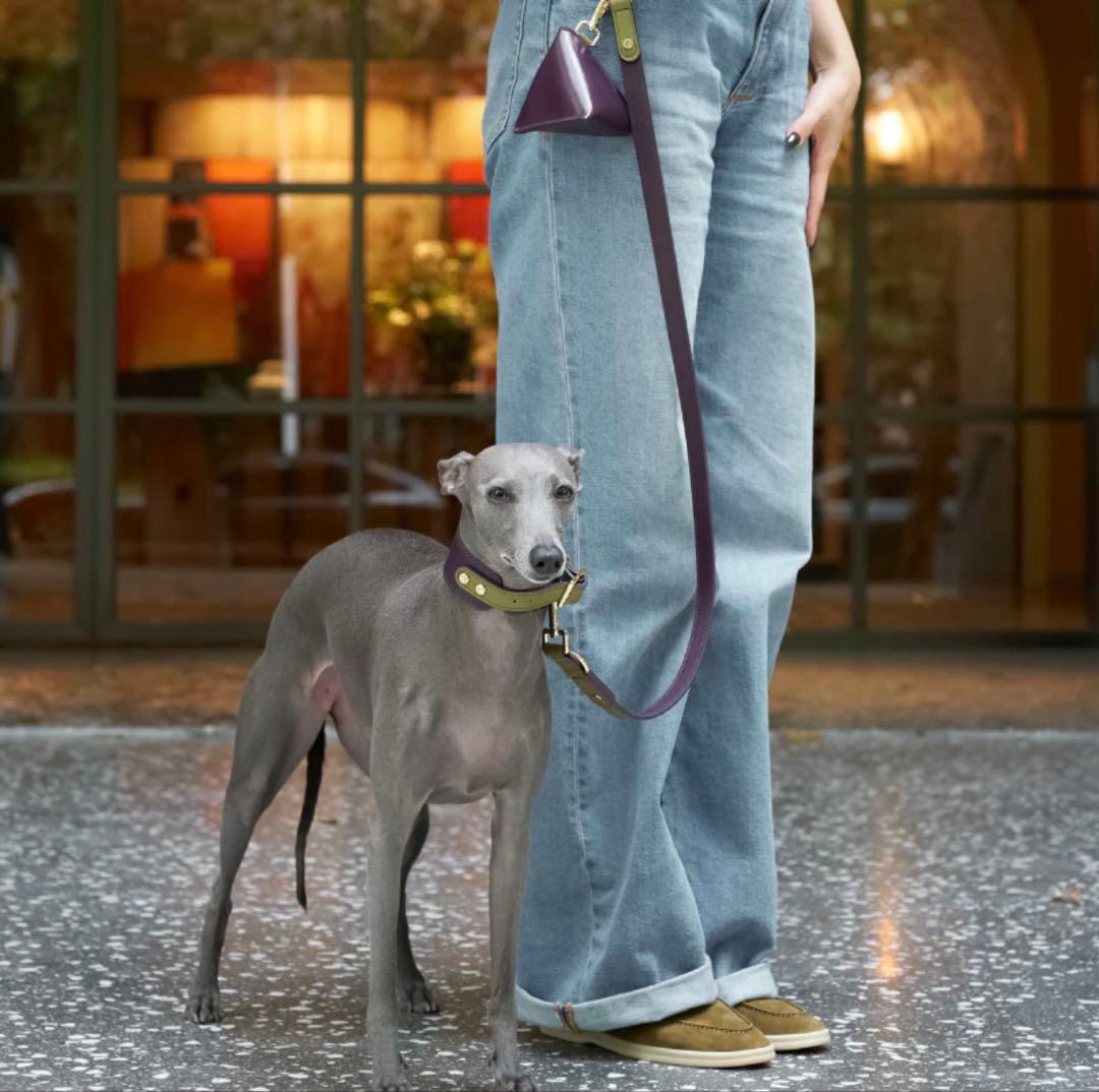 中型犬用紫緑ハーネスとリードセット