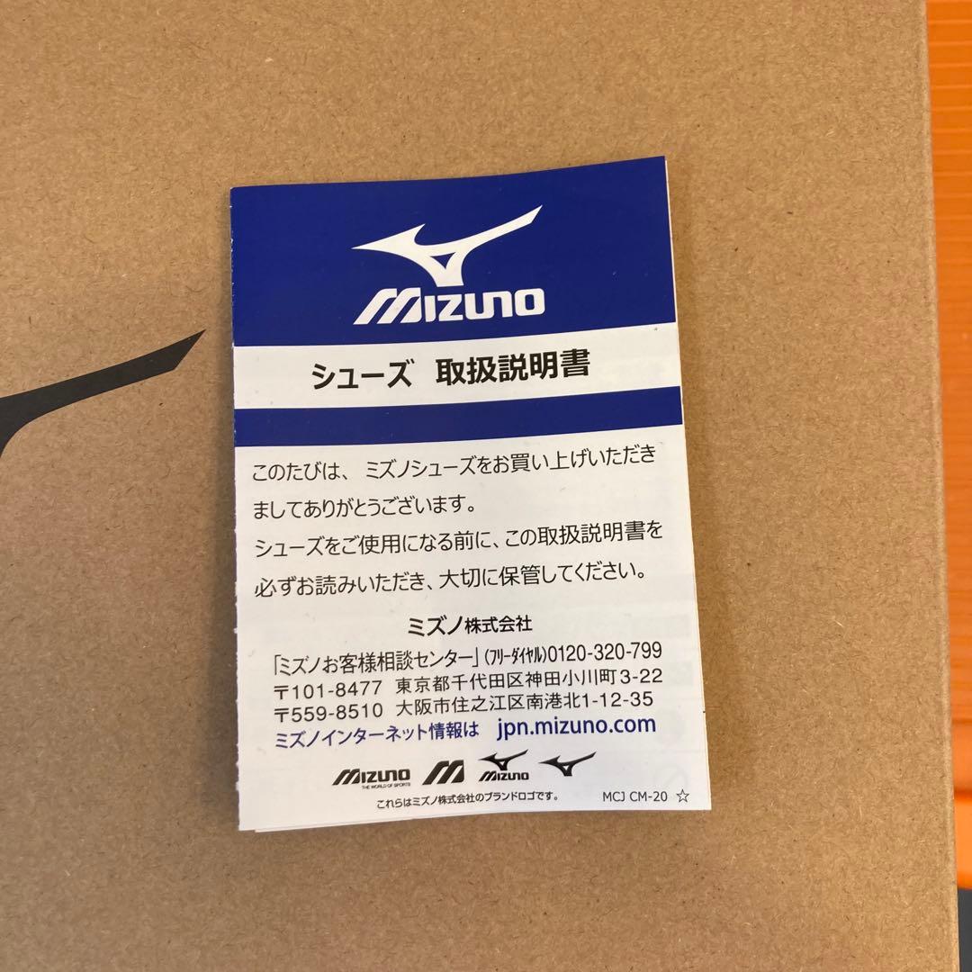 新品モレリアサラ プロ インドア 2E :26.0cm