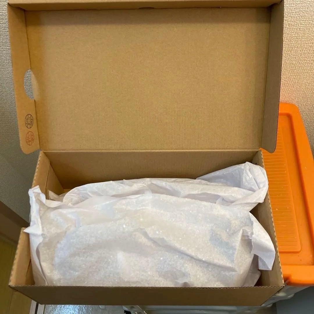新品モレリアサラ プロ インドア 2E :26.0cm