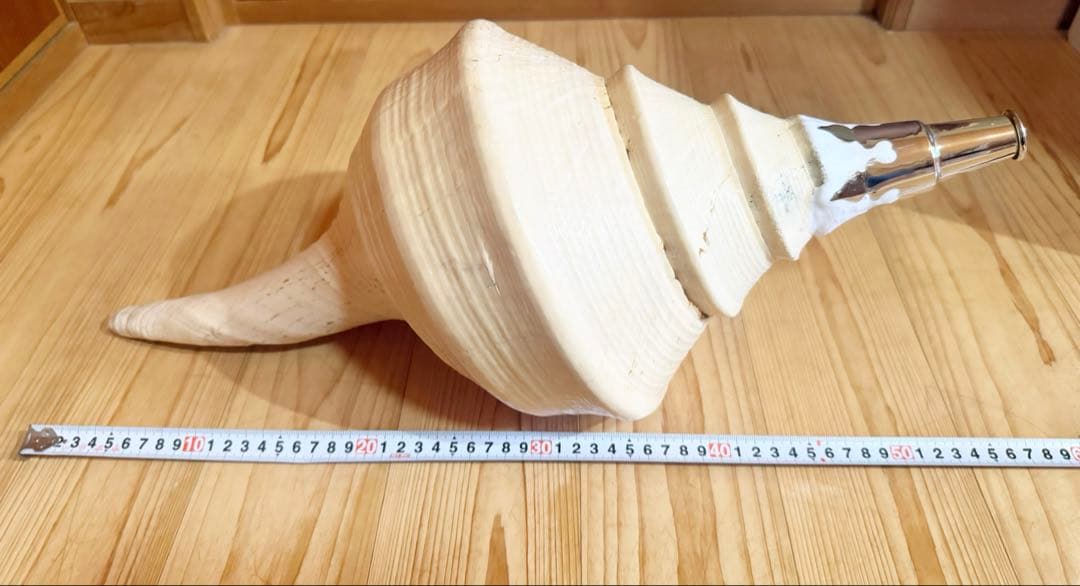 希少特大肉厚55.5㎝アラフラオオニシ法螺貝　ほら貝　ホラガイ