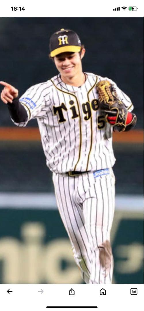 ‼️ドライフラワー‼️阪神タイガース選手会長　中野拓夢選手ユニフォーム