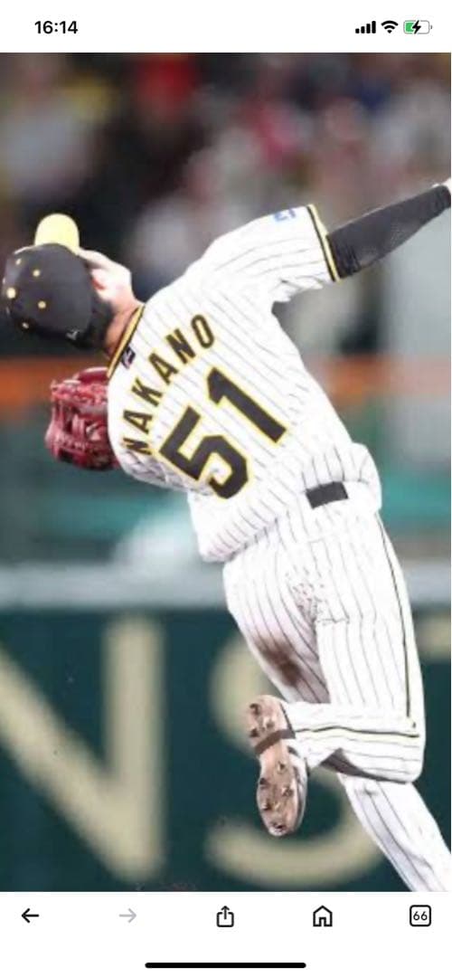 ‼️ドライフラワー‼️阪神タイガース選手会長　中野拓夢選手ユニフォーム