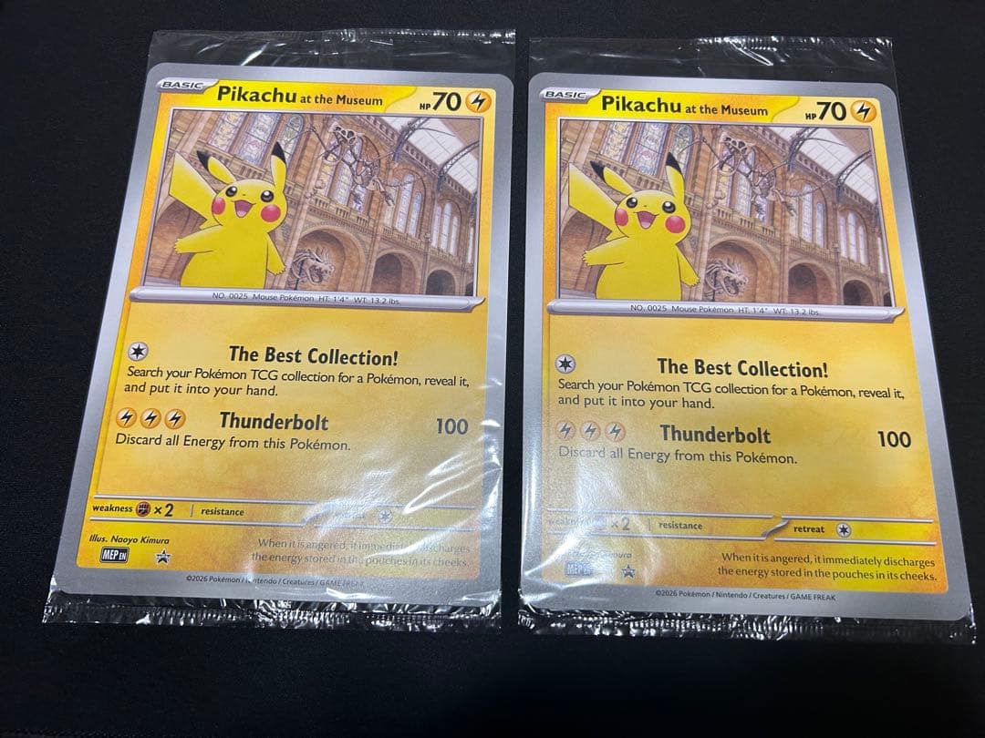 【最安値】Pikachu at the Museum 10枚セット