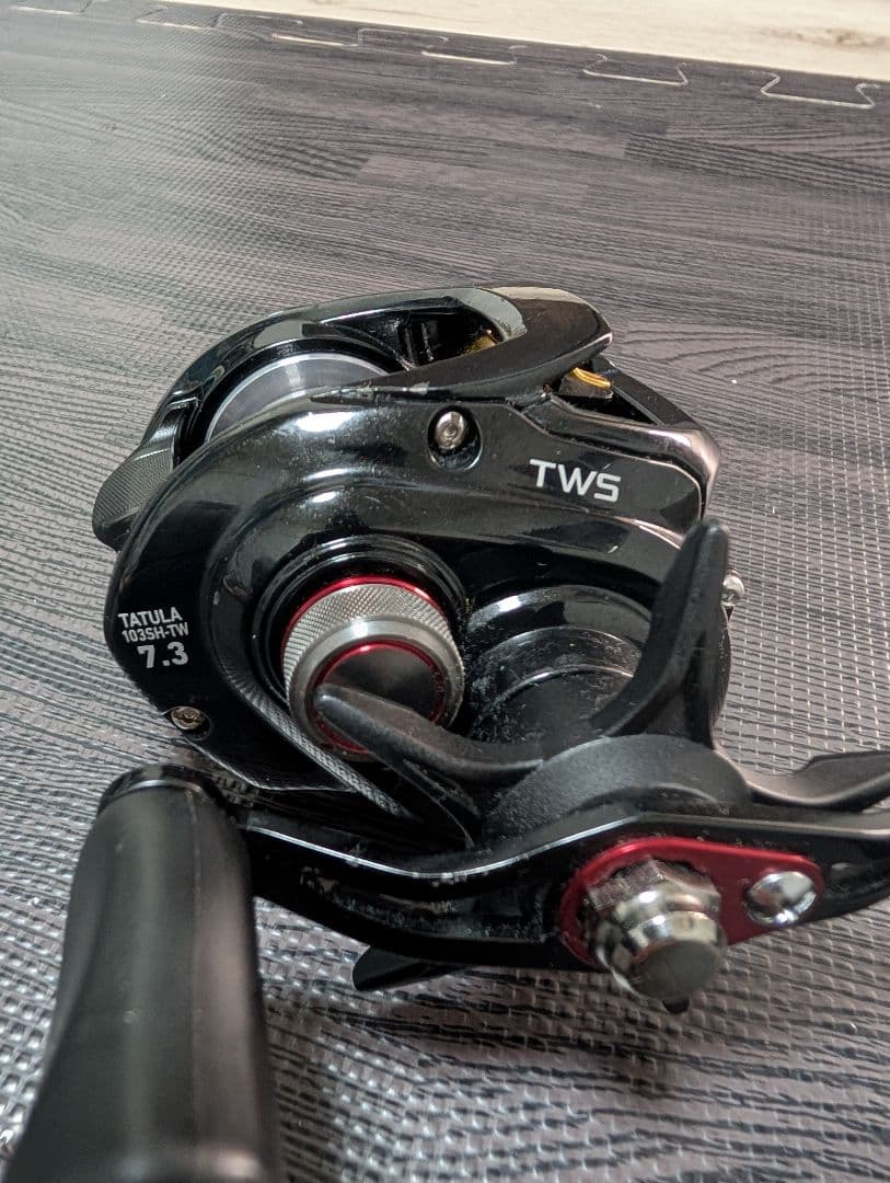 ダイワ TATULA ベイトリール 7.3:1 TWS