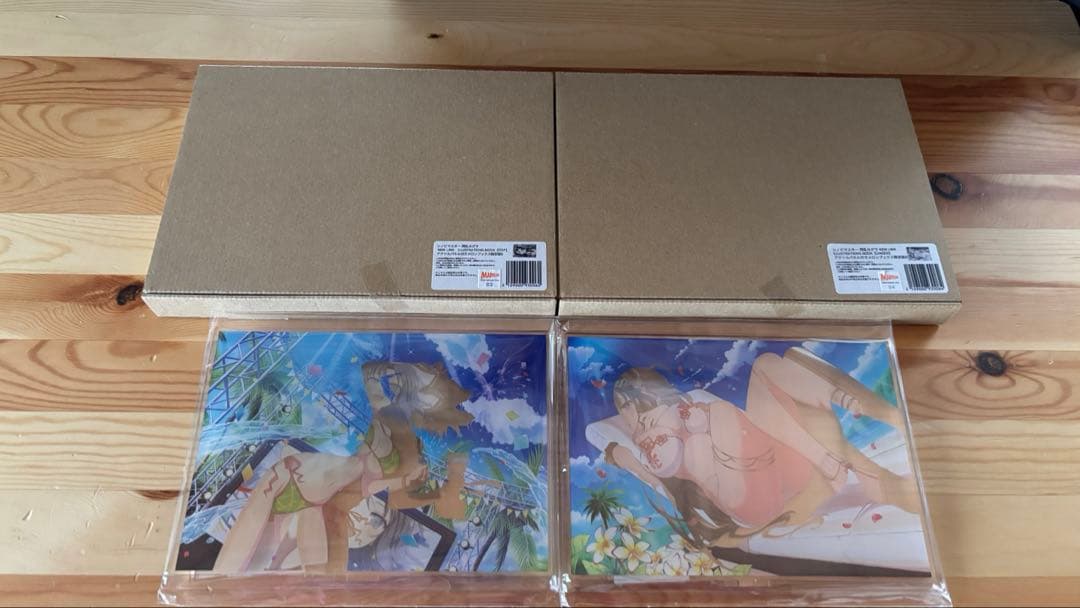 シノビマスター 閃乱カグラ NEW LINK ILLUSTRATIONS特典