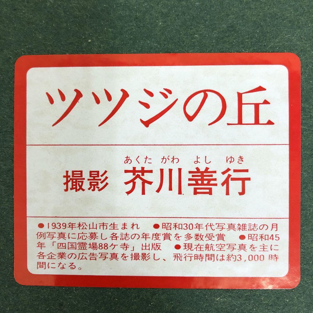 インテリアフォト　壁掛け　写真家　芥川　善行　フォトグラファー