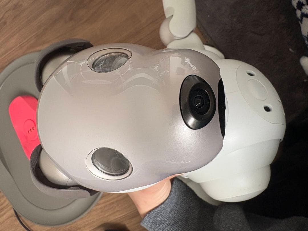 SONY aibo アイボ　ERS-1000 アイボリーホワイト 犬型ロボット