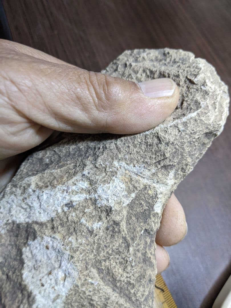 （a-25）古代石斧（旧石器時代）