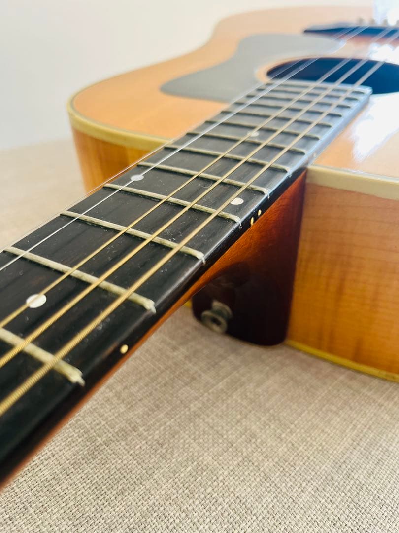 【1974年製・極上】Guild D-44-M BL 希少メイプル