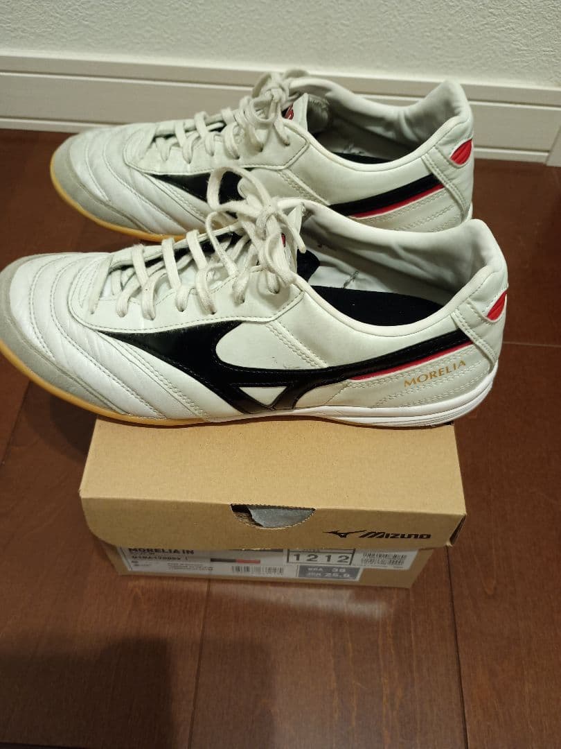 専用！25cm ミズノ モレリア イン MORELIA IN FUTSAL 室内