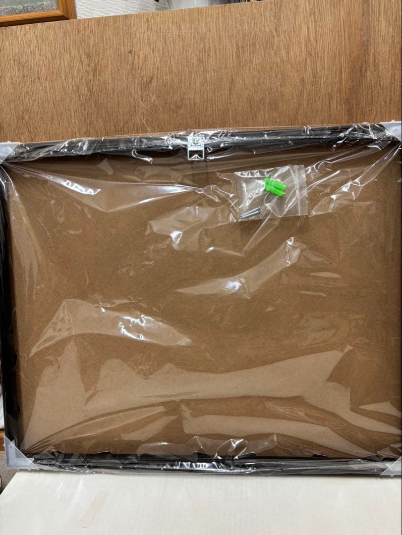 ドラゴンボール 額装品 (希望を捨てるな) サイン入り