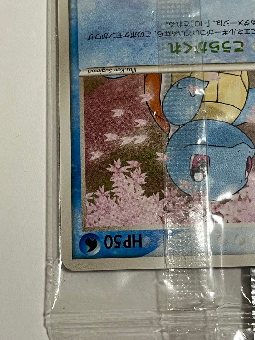 ポケモンカード　ゼニガメ　Meiji 未開封