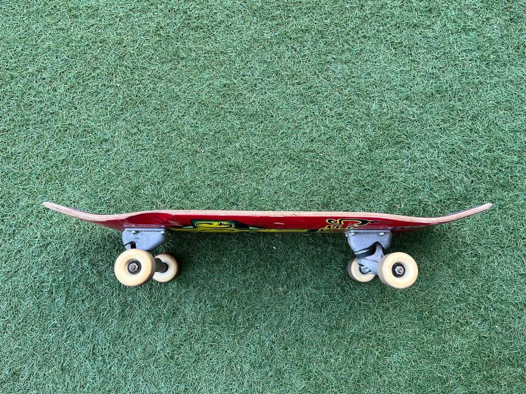 DOGTOWN ドッグタウン サーフスケートボード カーヴァー CARVE