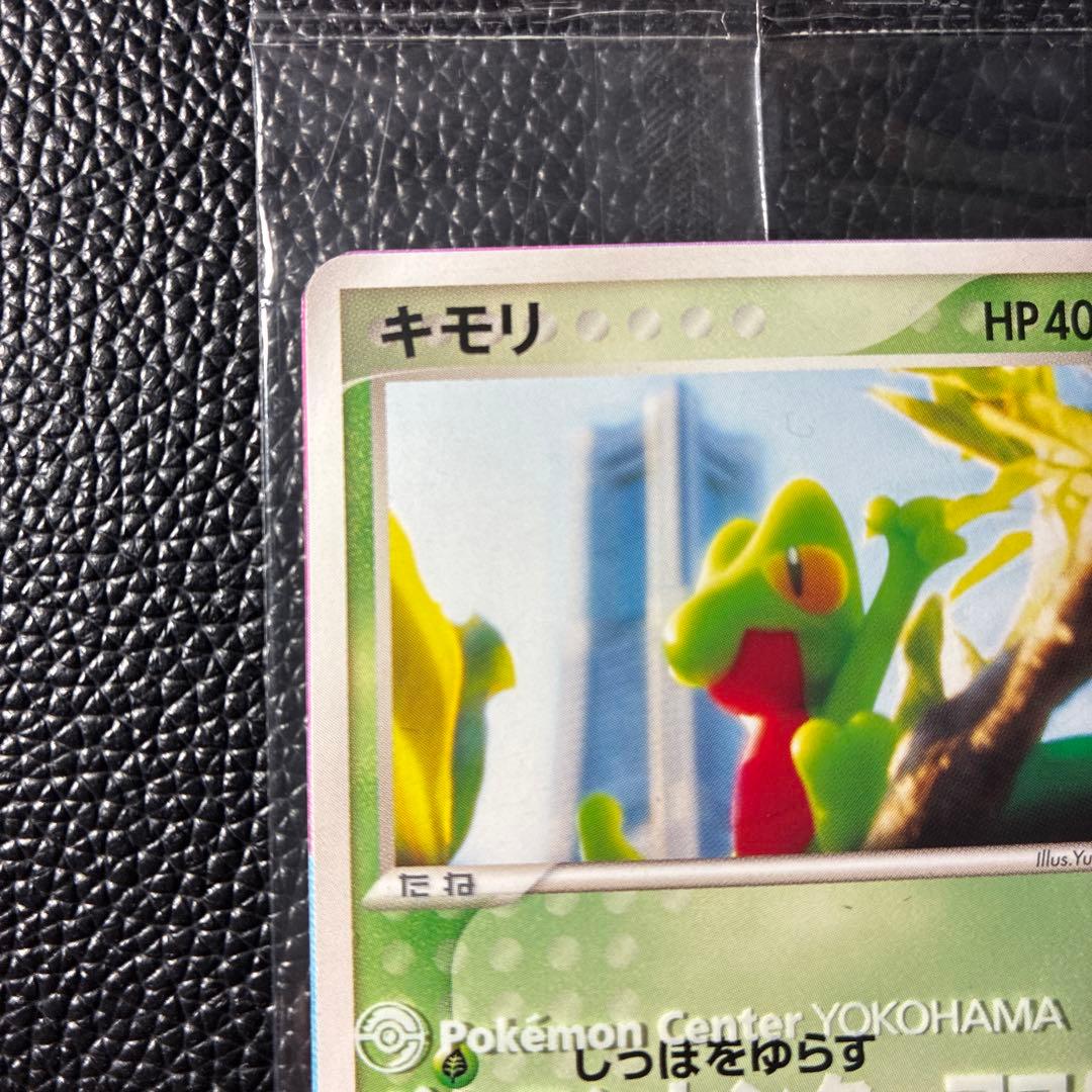 【希少】ポケモンカード キモリ ポケモンセンターヨコハマ プロモ 未開封