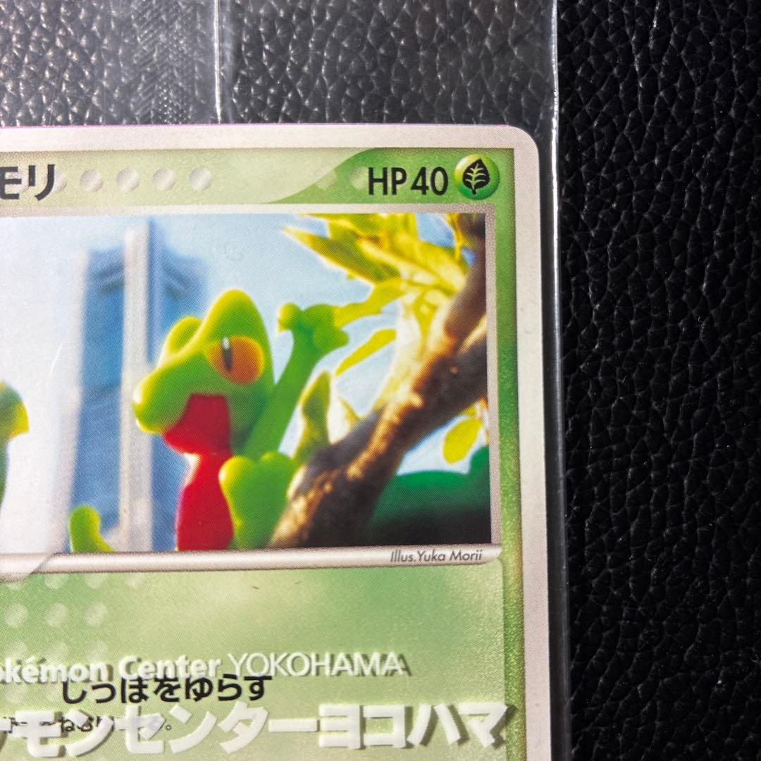 【希少】ポケモンカード キモリ ポケモンセンターヨコハマ プロモ 未開封