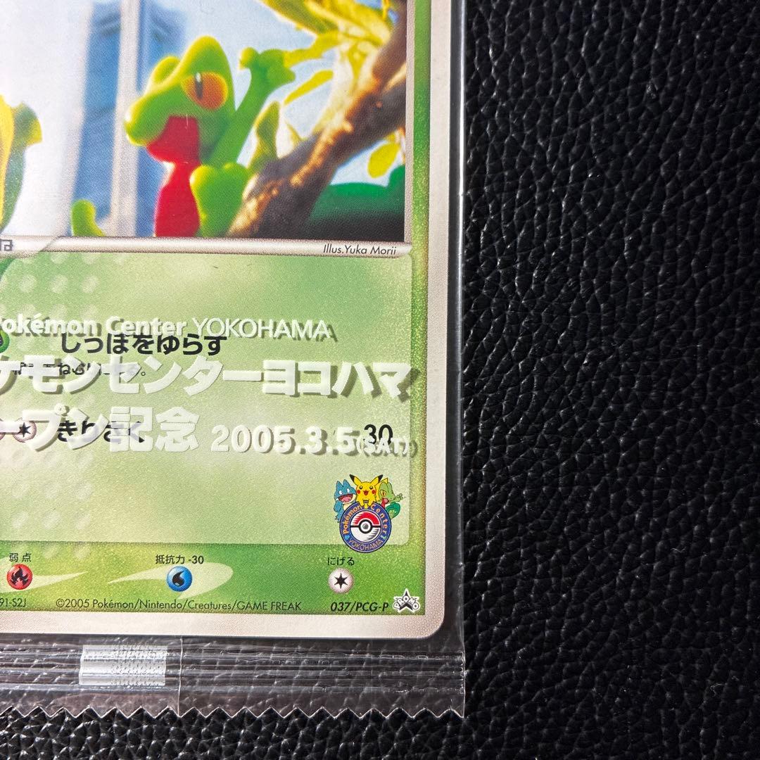 【希少】ポケモンカード キモリ ポケモンセンターヨコハマ プロモ 未開封