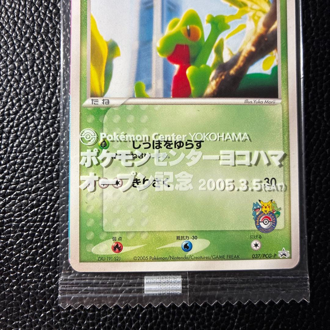 【希少】ポケモンカード キモリ ポケモンセンターヨコハマ プロモ 未開封