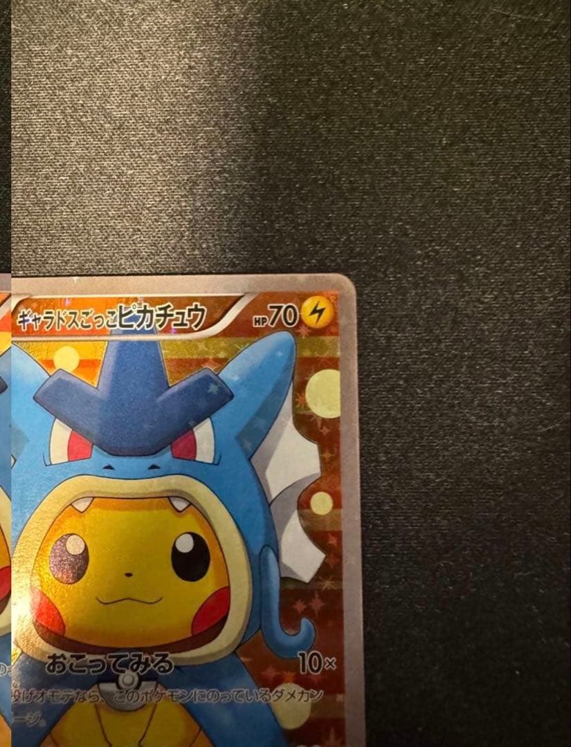 ギャラドスこっこピカチュウ
