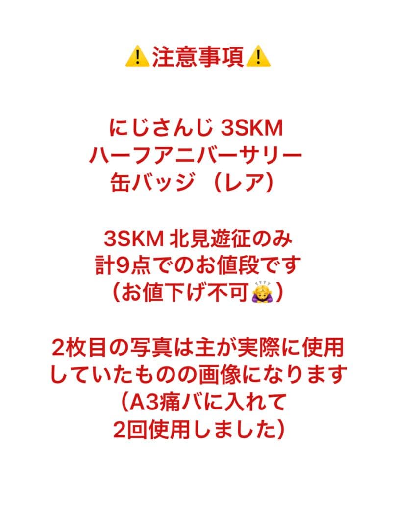 にじさんじ3SKM ハーフアニバーサリー ランダム缶バッジレア 北見遊征 9点⑥