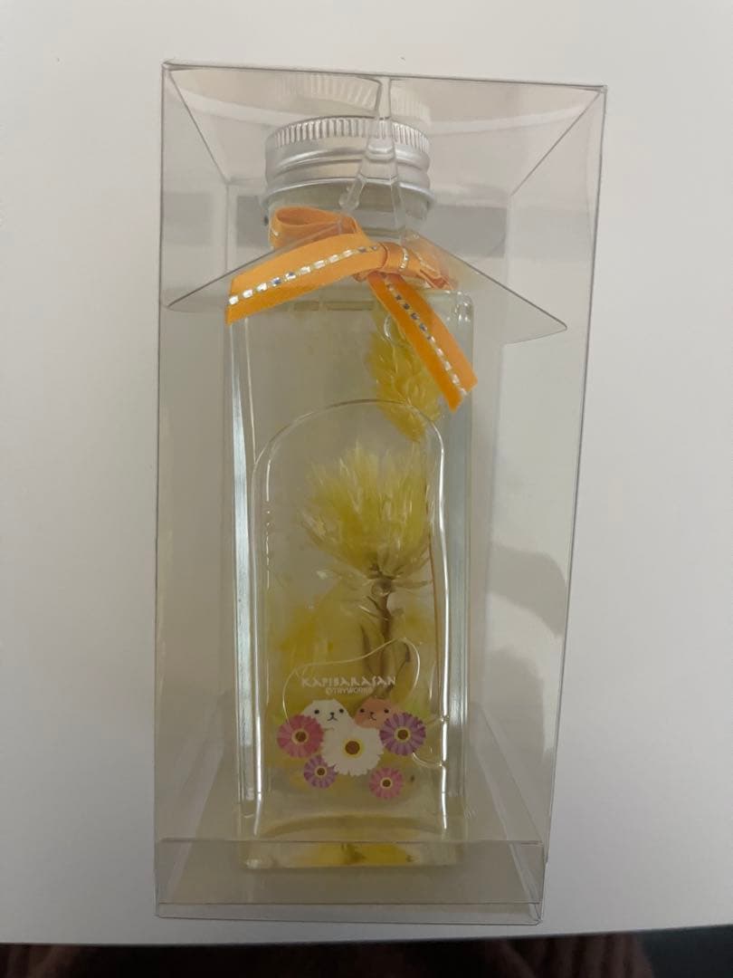 カピバラさんグッズまとめ売り【1】