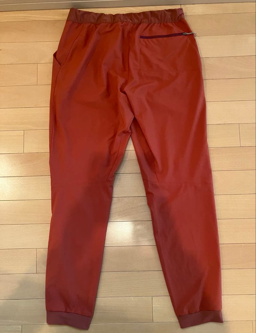 7月2日まで出品❗️【美品】パタゴニア テルボンヌジョガーズ M SP24